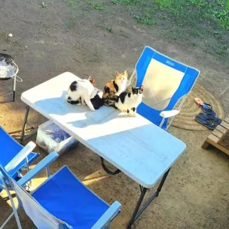 Campingplatz Valquiria Autocaravana *
